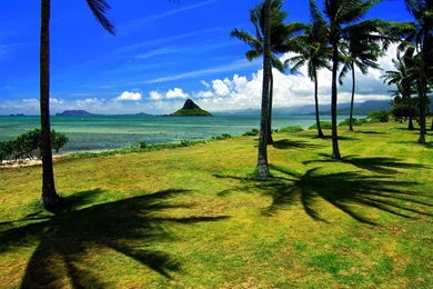 Gallery For   Free Hawaii Wallpapers