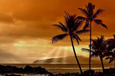 Hawaii Sunset Wallpapers HD Resolution