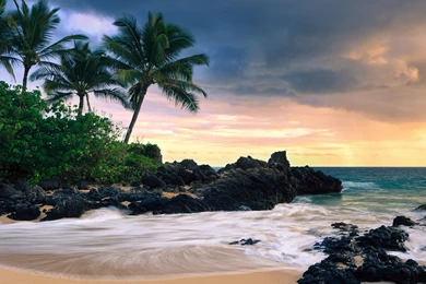 Gallery For   Hd Hawaii Beaches Wallpapers