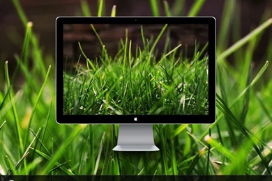 Green Grass Wallpapers By Chriscol On DeviantArt