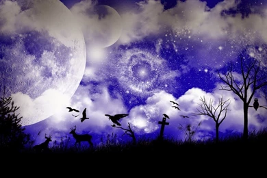 DarK AnimE WallpApers HD 1920x1080 ~ Download Wallpapers For PC