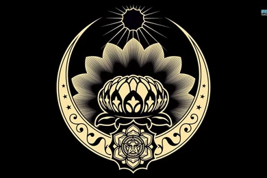 Obey   Lotus Ornament Wallpapers   Vector Wallpapers