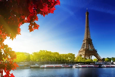 Paris Eiffel Tower Red Leafs City HD Wallpapers