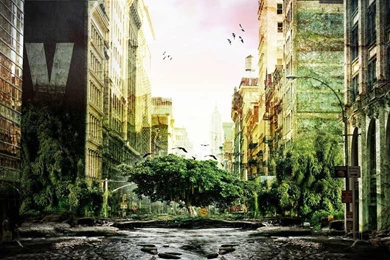 HD Wallpapers Groups (High Definition)