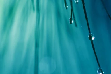 Rainy iPad Wallpapers Download