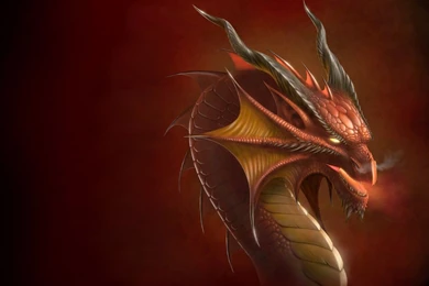 Dragon Head Wallpapers By Deligaris On DeviantArt