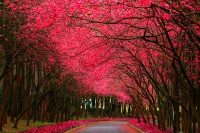 Autumn ☆   Autumn Wallpapers (32497097)   Fanpop