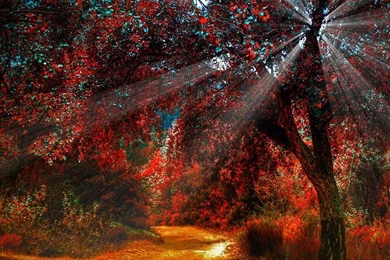 Fall Themed Wallpapers   HD Wallpapers And Pictures