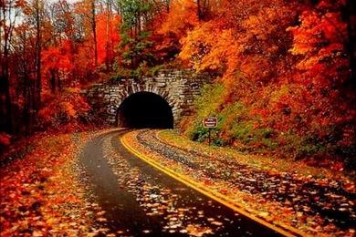 Autumn ☆ Autumn Wallpapers (32320326) Fanpop