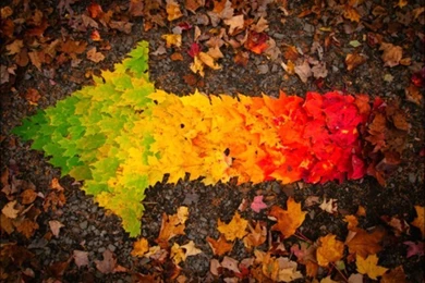 Autumn ☆ Autumn Wallpapers (32342283) Fanpop