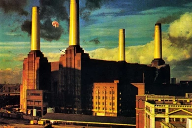 Pink Floyd Wallpapers HD Download
