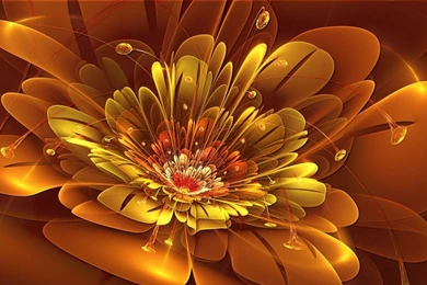 19270 Translucent Orange Flower 1920×1080 3d Wallpapers ...