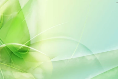 Green Translucent Leaf Wallpapers Abstract Wallpapers