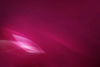 Translucent Wing Widescreen Wallpapers