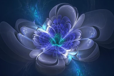 Glowing Translucent Flower Wallpapers Digital Art Wallpapers