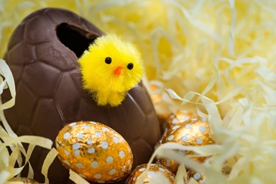 Easter Egg 1920x1200.jpg
