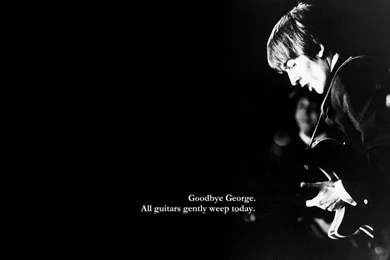 Wallpapers By Gabor Peterdi