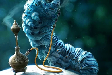 Caterpillar Alice In Wonderland Tim Burton   Wallpaper.