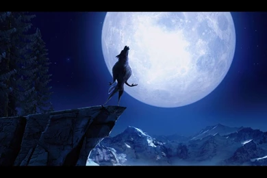 Wolf Howling At The Moon Wallpapers