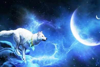 Gallery For   Blue Moon Wolf Wallpapers