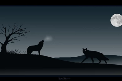 Howling Wolf Wallpapers   Vector Wallpapers