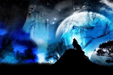 Gallery For   Cry Wallpapers Wolf