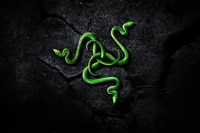 Razer   Downloads