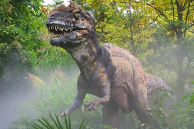 HD Animal Wallpapers: HD Dinosaurs Wallpapers