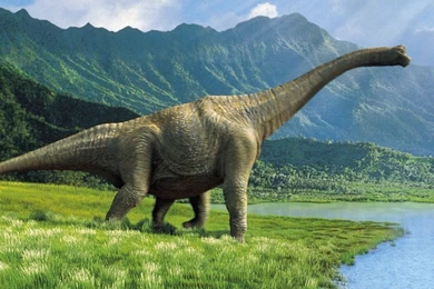 Pictures Of Dinosaurs Widescreen HD Wallpapers