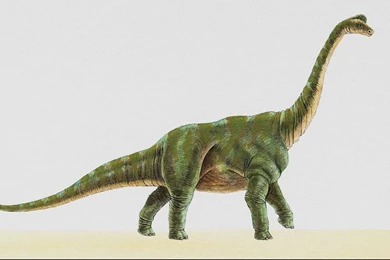 Dinosaurs, Wallpapers (