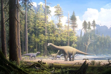 Wallpapers Ancient Animals Dinosaurs Animals Image