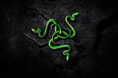 Razer Desktop Backgrounds