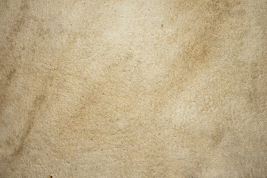 Leather Surface Backgrounds Four