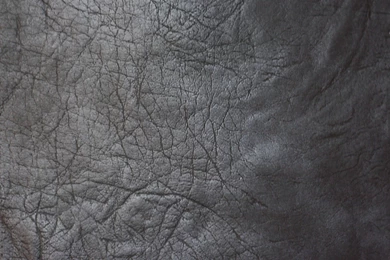 Leather Surface Backgrounds Twelve