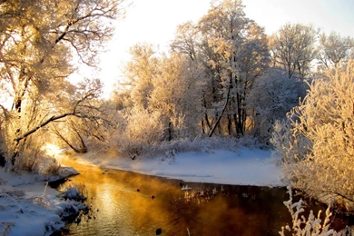 Stream HD Wallpaper, Beautiful Stream Images, New Wallpapers