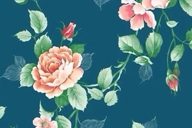 Flowers Pretty Beautiful Corefull