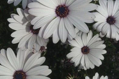 Looks Like The Kinda Picture I've Always Wanted To Take  o   Image ...