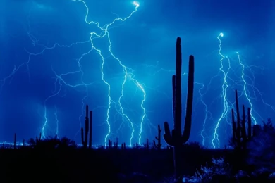 1152x864 Lightning And Cactus Desktop PC And Mac Wallpapers
