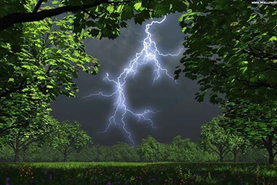 Wallpapers   HD Desktop Wallpapers Free Online: Lightning Strikes
