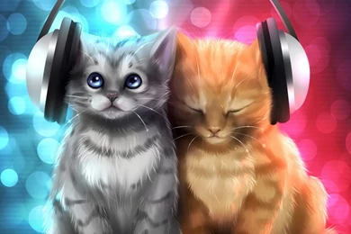 Kittens Kitten Cat Cats Baby Cute S Wallpapers