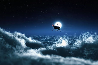 Santa Flying Reindeer