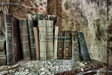 465885_knigi_polka_fon_1680x1050_www.Gde Fon.com.jpg