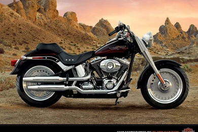 Harley Davidson Fat Boy