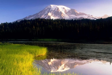 USA, Washington, Mt Rainier NP, Perfect Early Morning Light On The ...