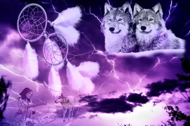 Free Native American Wolf Wallpapers