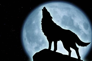 Howling Wolf Wallpapers Desktop