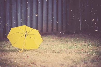 Yellow Hummer Cars Wallpapers HD