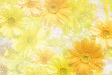 Gallery For   The Yellow Wallpaper Backgrounds