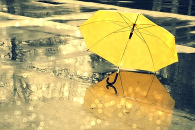 Yellow Umbrella In The Rain Desktop Backgrounds Wallpapers By ...