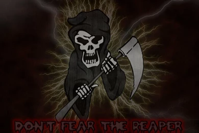 Dark Skulls Wallpapers 98 Dark Skull Wallpapers